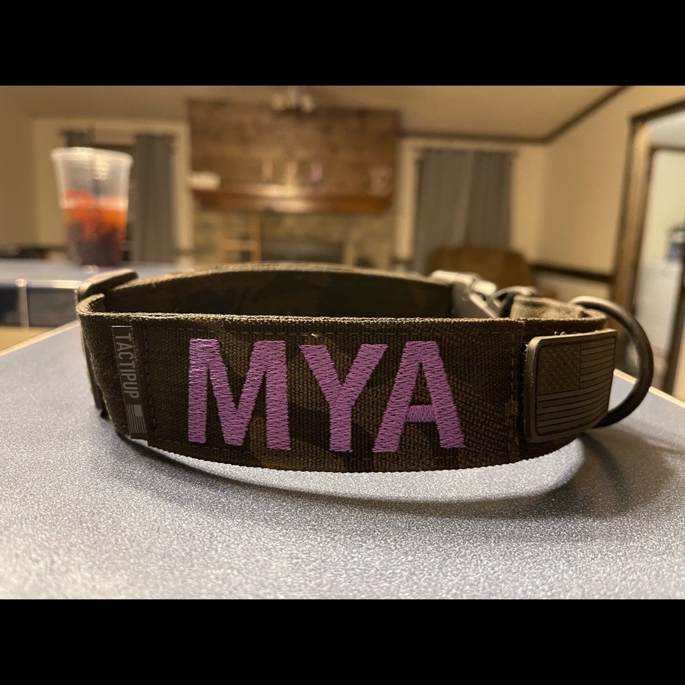 Dog Collar